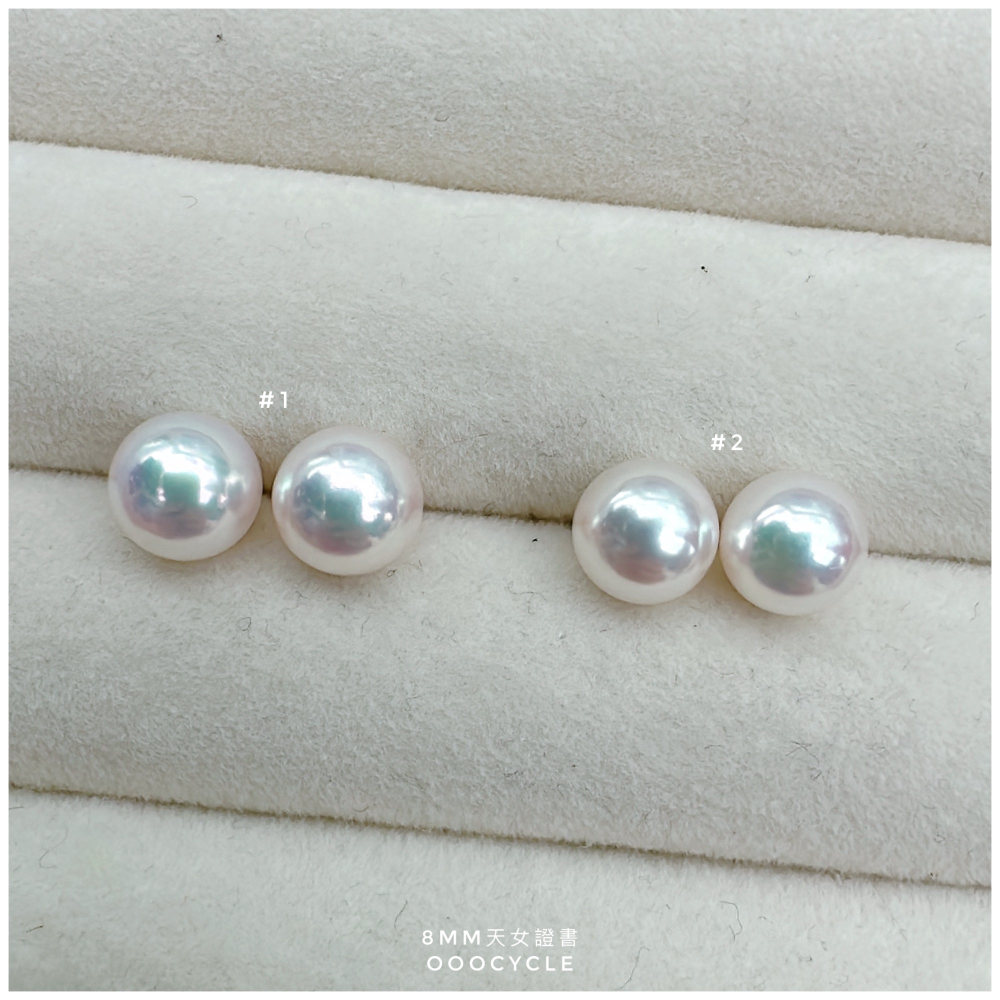 天女證書耳釘 Certified Tennyo Studs 8mm