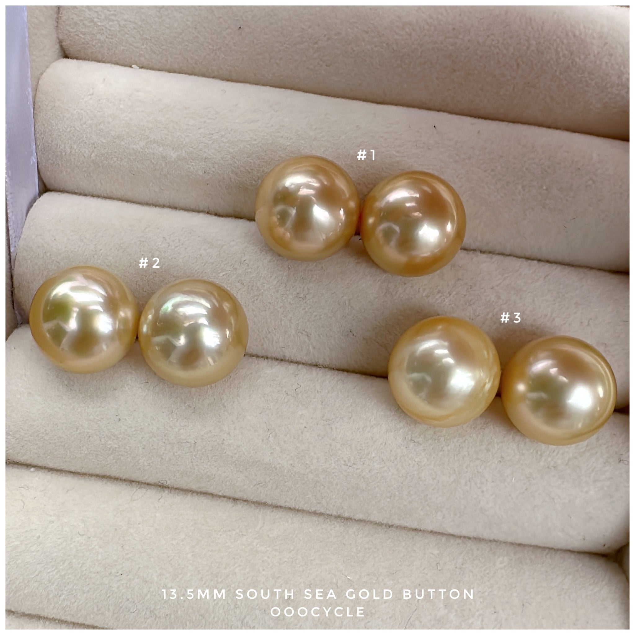 Button, South Sea Gold 南洋饅頭金珠 13.5mm