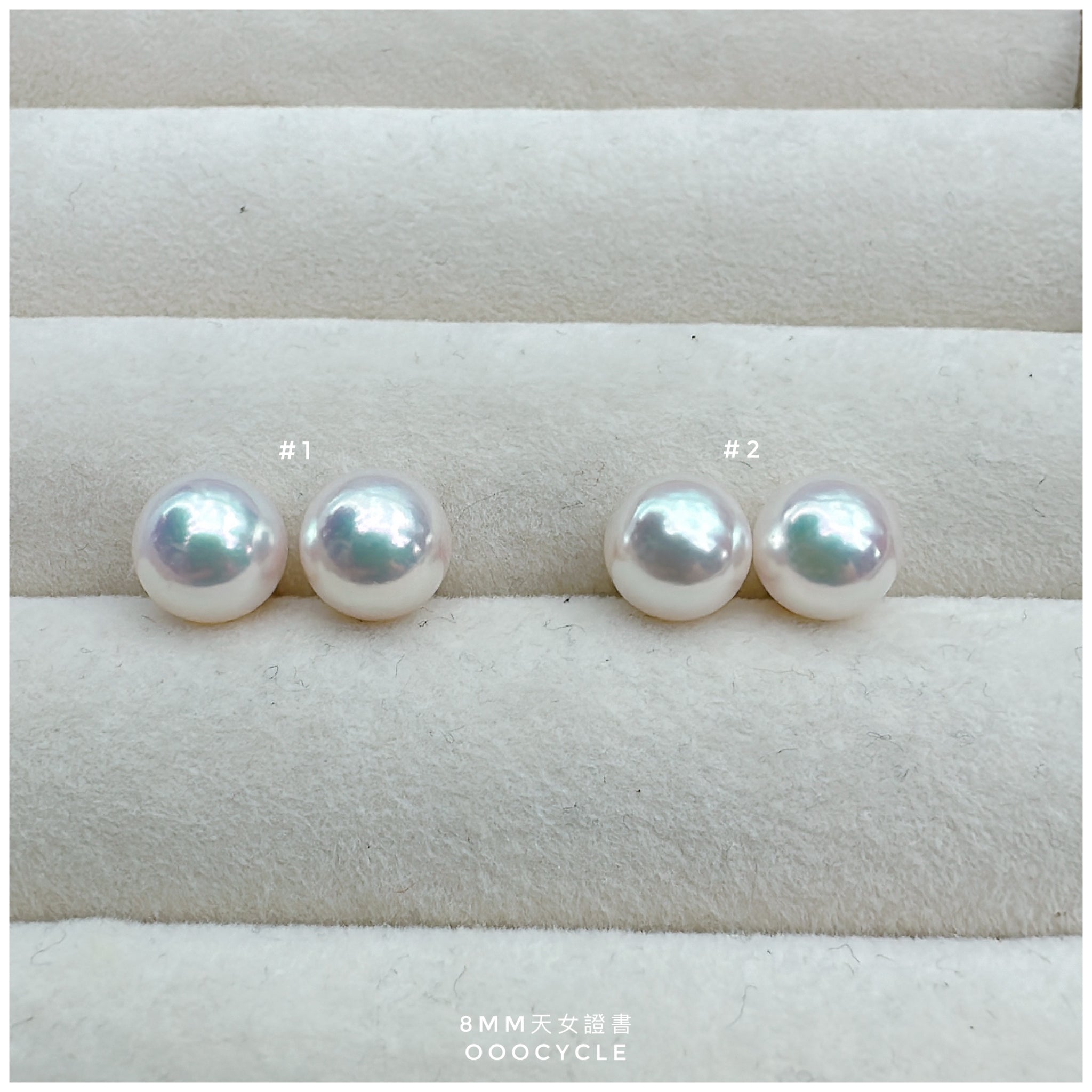 天女證書耳釘 Certified Tennyo Studs 8mm