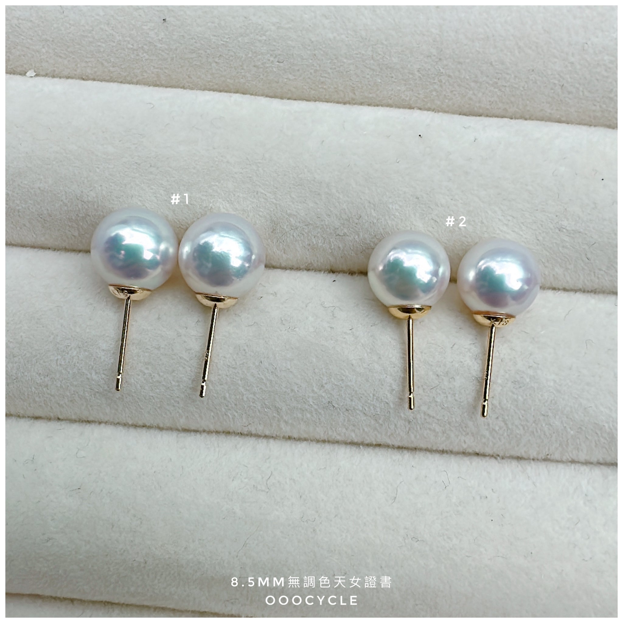 無調色天女證書耳釘 Certified Unrefined Tennyo Studs 8.5mm