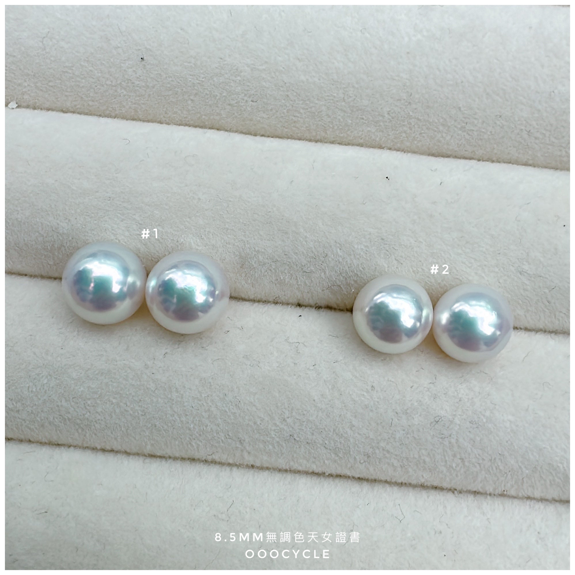 無調色天女證書耳釘 Certified Unrefined Tennyo Studs 8.5mm