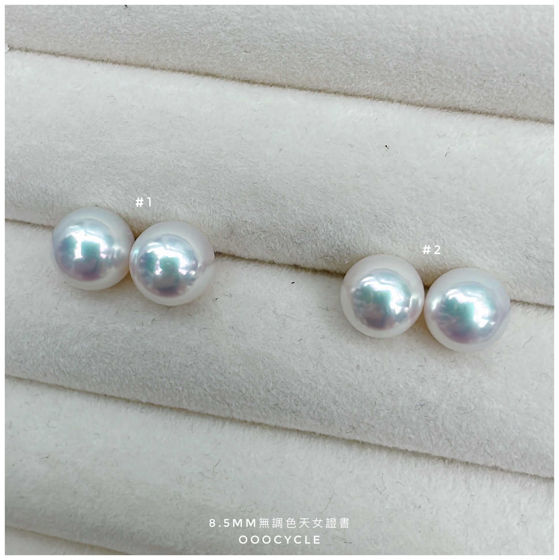 無調色天女證書耳釘 Certified Unrefined Tennyo Studs 8.5mm