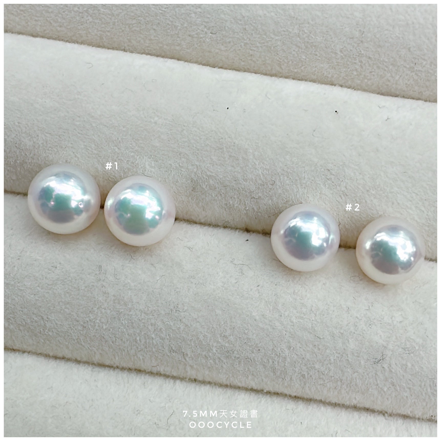 天女證書耳釘 Certified Tennyo Studs 7.5mm