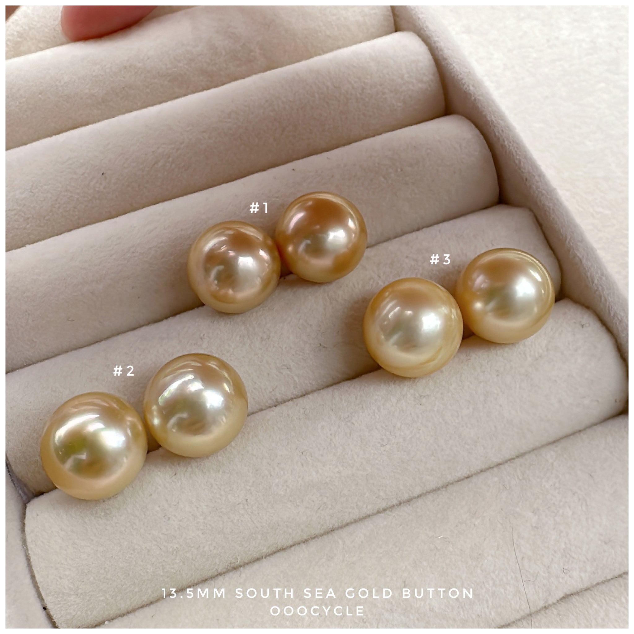 Button, South Sea Gold 南洋饅頭金珠 13.5mm