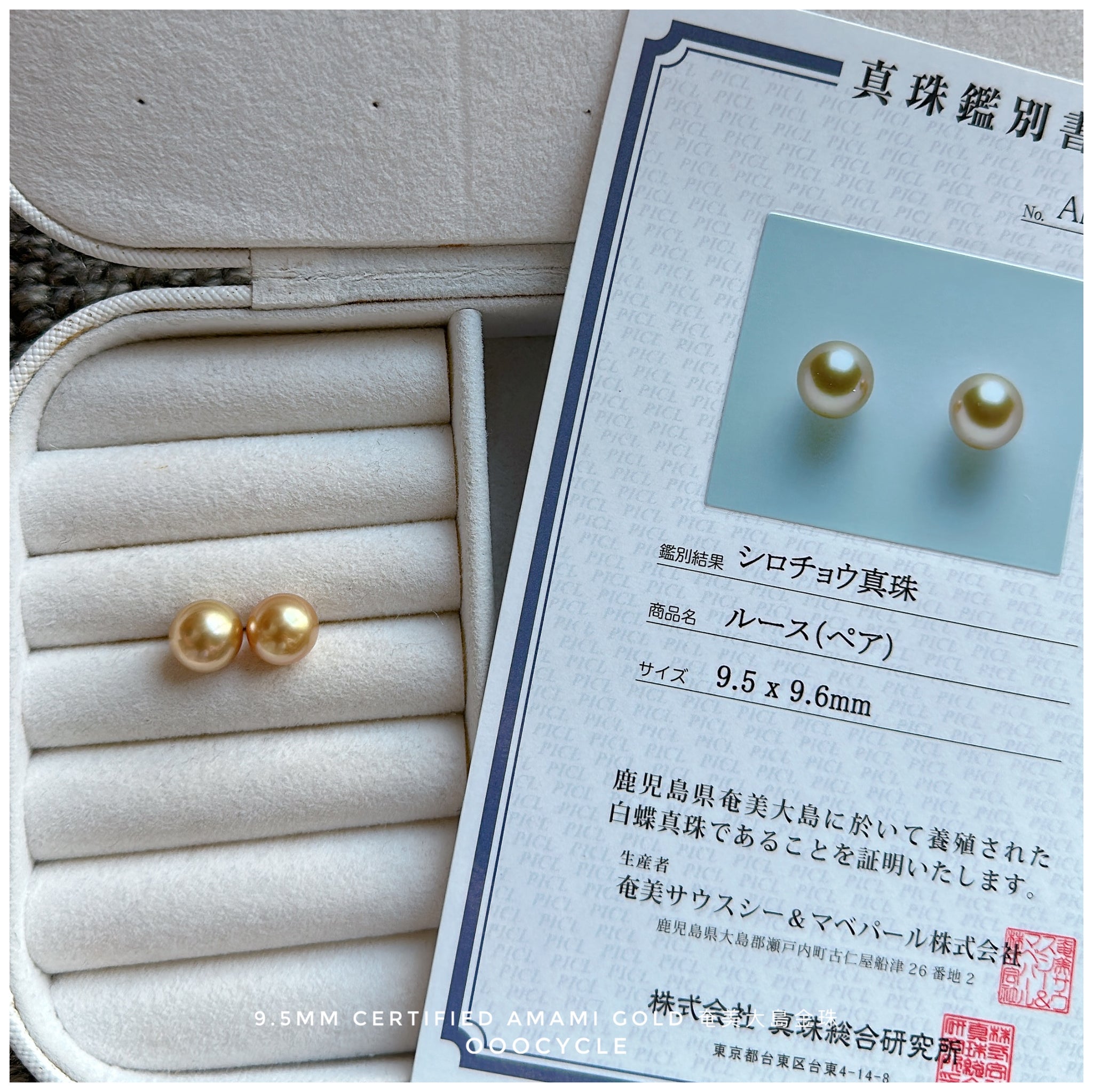 日本奄美大島金珠證書 9.5mm